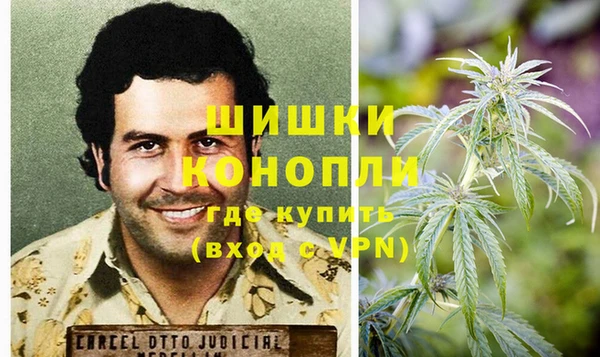 амф Володарск