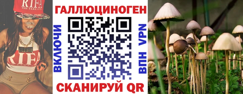 Галлюциногенные грибы Psilocybe  Карабулак 